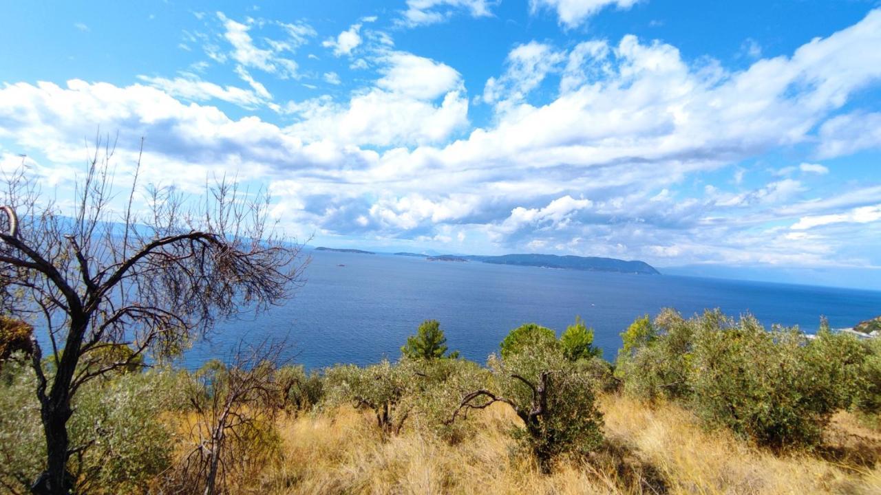 Oneiro Cottage Скопелос Екстериор снимка
